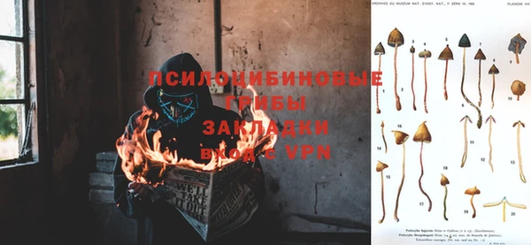 дурь Арсеньев