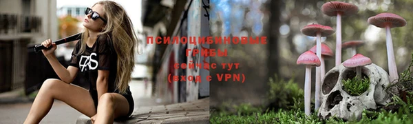 тгк Аркадак