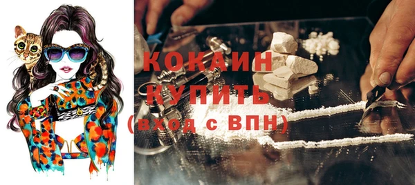 дурь Арсеньев