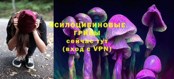 дурь Арсеньев