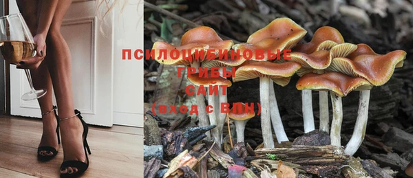 дурь Арсеньев