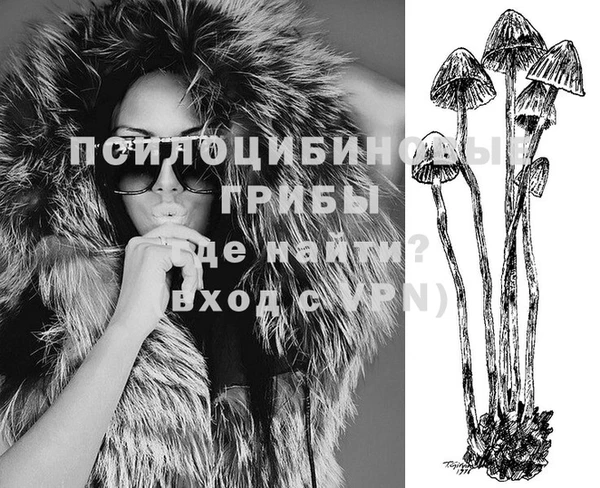 тгк Аркадак
