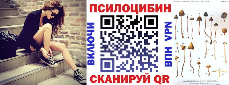 Галлюциногенные грибы MAGIC MUSHROOMS сколько стоит кракен маркетплейс Луховицы